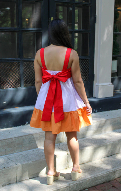 Multi Color Flare Dress RTS